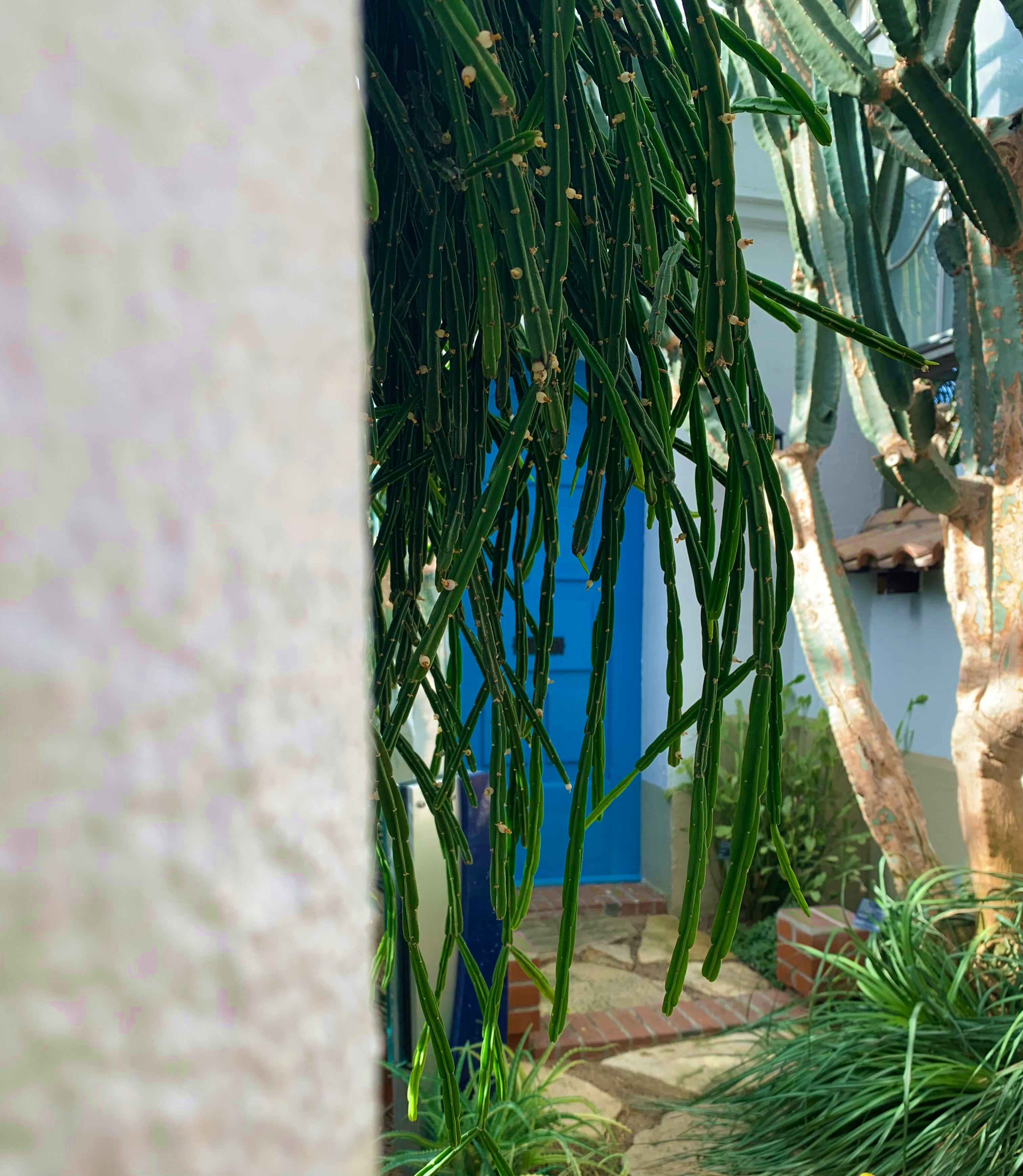 Hero background - BetaSpace Photography