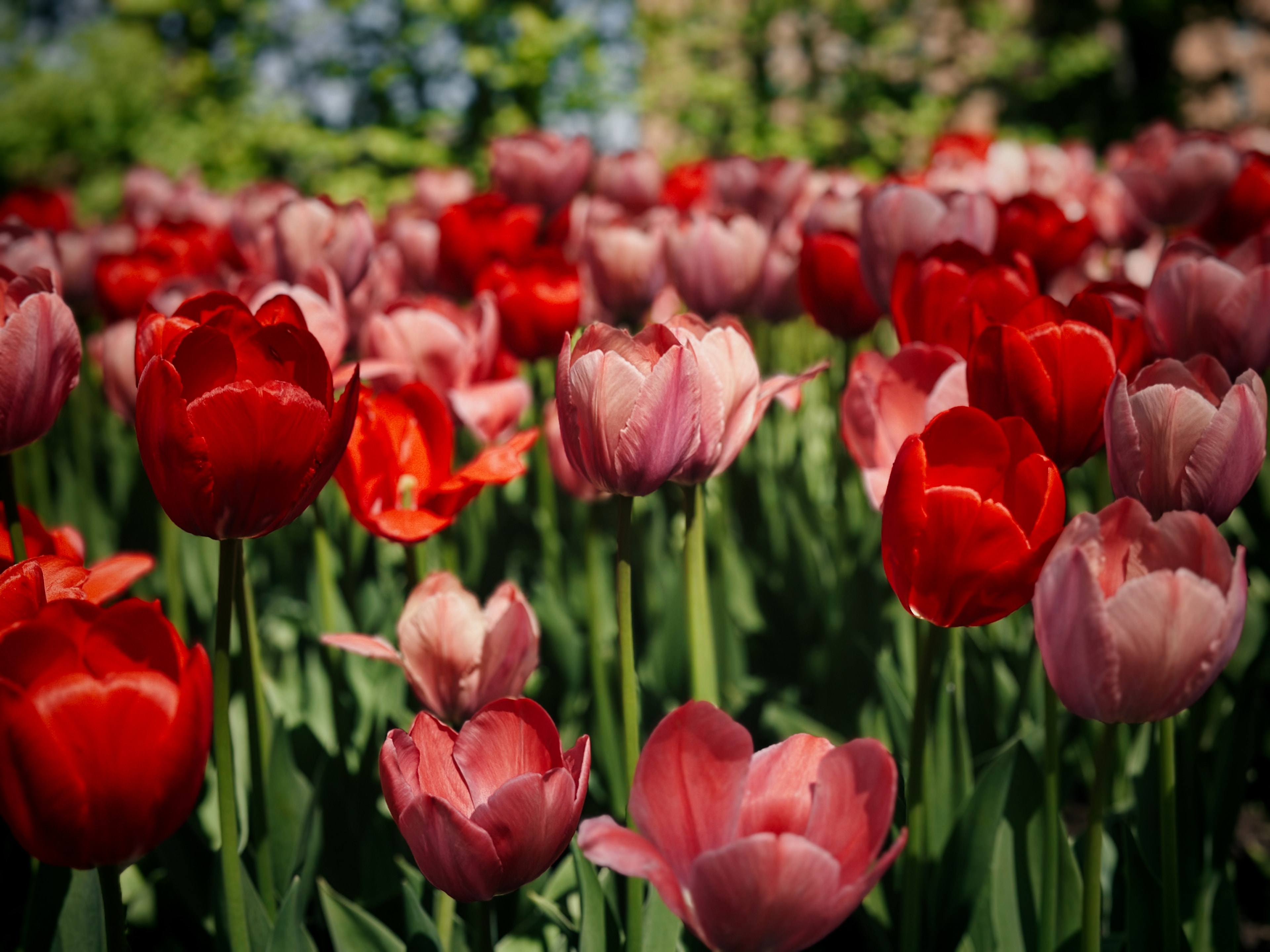 Hero background - BetaSpace Photography